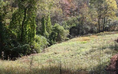 Lot 1 Hood Acres, Blairsville, GA